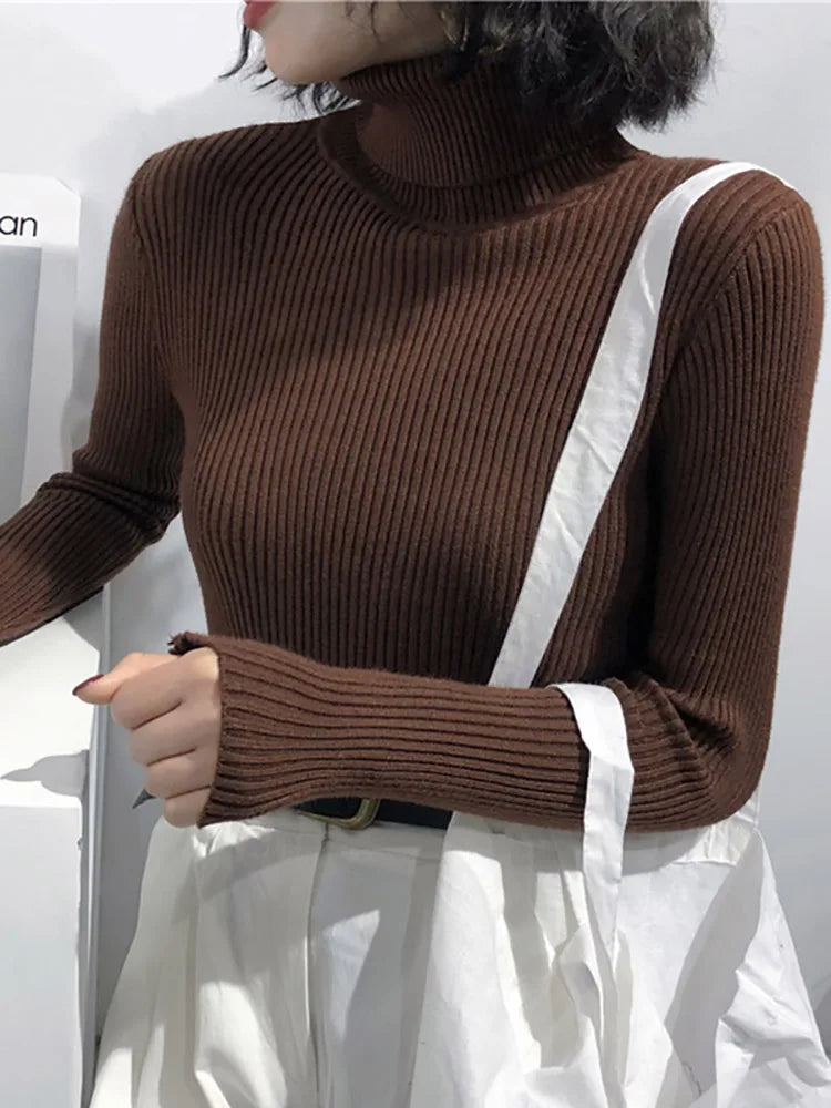 Modaura | Ribbed Turtleneck Sweater